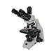 Trinocular Biological Microscope